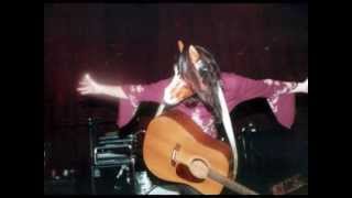 Little Ole Wine Drinker-Picture In My Mind - Freakwater live 1999