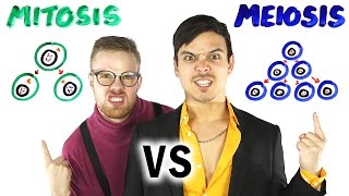 Mitosis vs Meiosis RAP BATTLE!