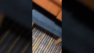 Room Tour Carnival Horizon #viral #vlog #vacation #cruising #funny
