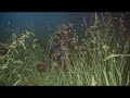 Cry Baby SZA 8D AUDIO