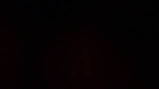 Video thumbnail for B toys woofer dog guitar by Savannah Chesney
