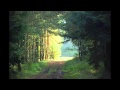 I went to the woods, Henry David Thoreau