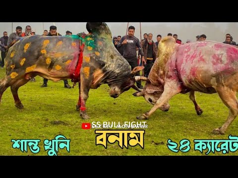 SHANTO KHUNI 2   VS  24 CARET  BISAL MAIR WIN ❤️‍🔥24 CARET. SYLHET BISAL MAIR