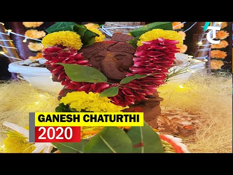 Ganesh Chaturthi 2020: Bollywood celebrities urge fans to have eco-friendly celebrations