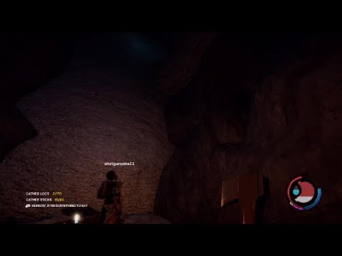 The Forest - The Great Cave Escape