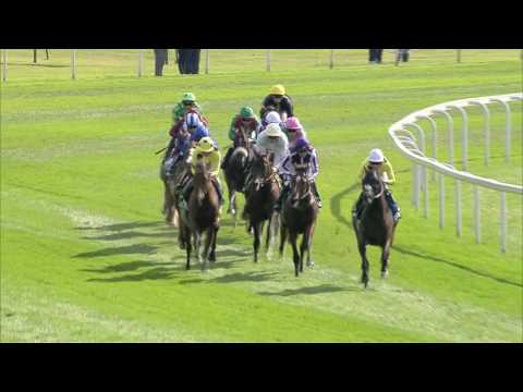 2016 Juddmonte International - Postponed (IRE)