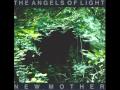 THE ANGELS OF LIGHT - Praise Your Name.wmv ...