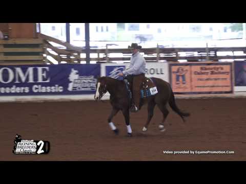 Chics Love Me Wimpy ridden by Josh Tishman  - 2017 NRBC (Tue. IO-LO-RP)