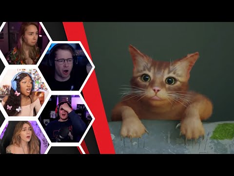 Lets Player's Reaction To The Cat Falling And Limping - Stray