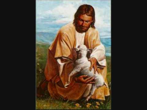 Yappy-Un sens nouveau