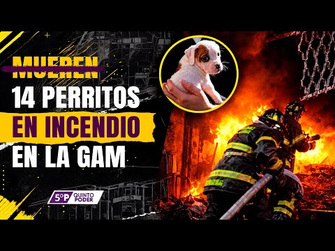 Thumbnail 71324