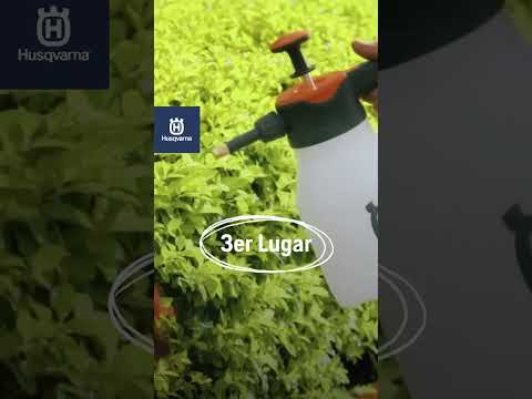 ⚠️Atención Puerto Santander, estos premios podrían ser tuyos ✨
