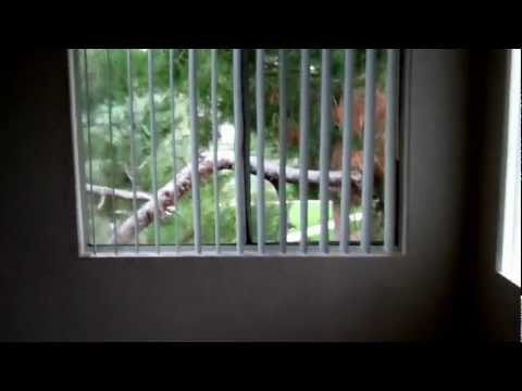 The Ashton Apartments - Corona - 3A - 3 Bedroom