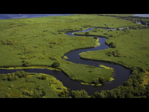 Film Documentar: Delta Dunării - Paradisul aproape Pierdut