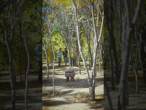 عاشق و سرگشته