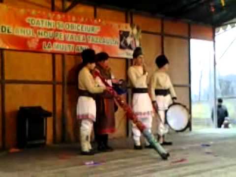 plugusoru de la scariga 2013