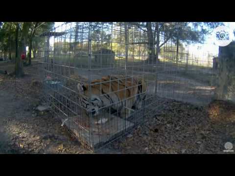 Duchess breakfast 2016 11 23