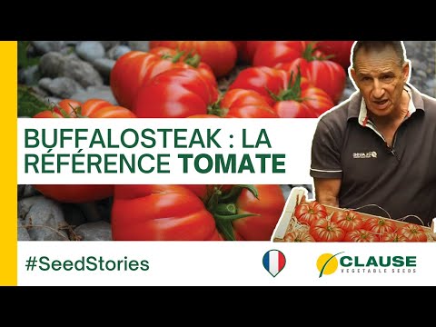 Video: BUFFALOSTEAK F1