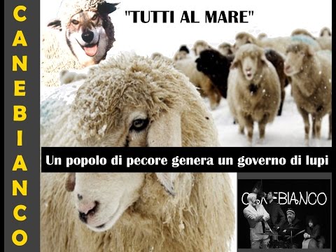 video frame placeholder