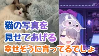 数か月前にお迎えしたCatWickの成長した写真を見せくれるビブー【ホロライブ切り抜き / 日英字幕】【古石ビジュー/Koseki Bijou】