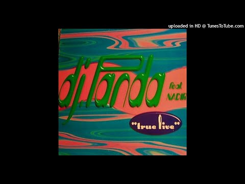 DJ Panda Feat Nadir - True Life (Space Trance). 1997