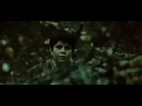 Partizani – Lule Velo | Cover Shqip 🇦🇱 (Version Emocionues)