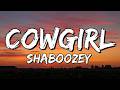 Shaboozey Cowgirl Lyrics