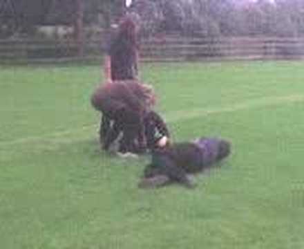 Stupid Lads Havin Gay Tiime