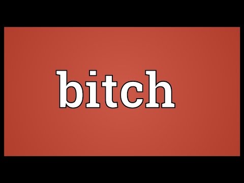 download lagu mp3 mp4 Biotch Meaning, download lagu Biotch Meaning gratis, unduh video klip Biotch Meaning