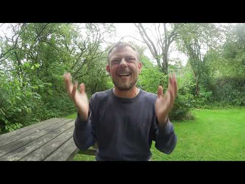 Svampetrip i dyrehaven🍄🦌🌳