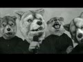 MAN WITH A MISSION [NO MUSIC,NO LIFE. メイキ ...