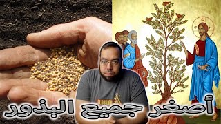 صورة مثل حبة الخردل - أصغر جميع البذور التي على الأرض | كيف نتعامل مع كلام يسوع؟