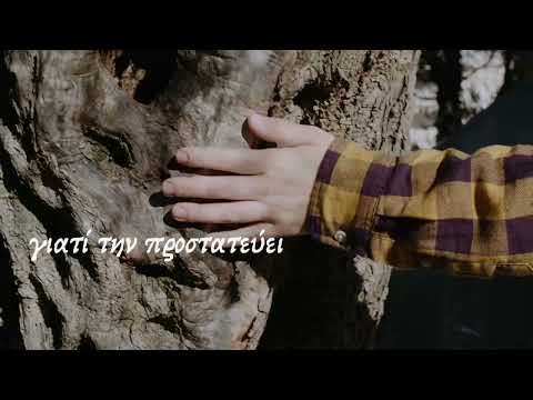 Video 4