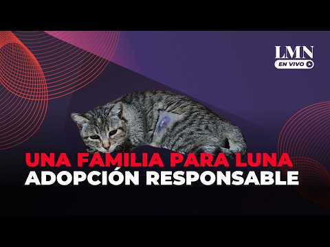 ADOPCIÓN RESPONSABLE: una familia para LUNA | Colonia en CINCO SALTOS | Nacho MACCARONE | LM Neuquén
