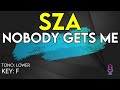 SZA - Nobody Gets Me - Karaoke Instrumental - Lower