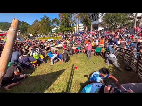 Schweinefangen während des Grand Cañao anlässlich des Gründungstages von Benguet