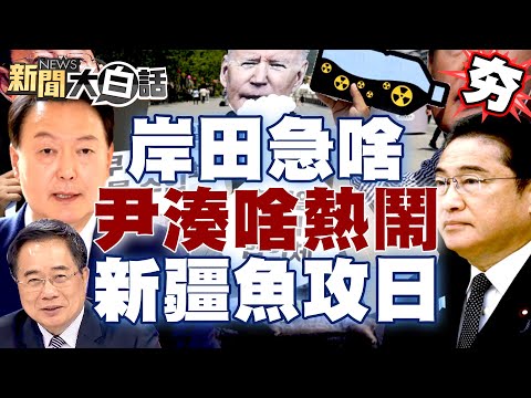 【精選】岸田文雄排核汙水急啥？尹錫悅湊啥熱鬧？新疆大漠海魚反攻日本歐洲 新聞大白話@tvbstalk