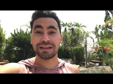 Shane — FCA student