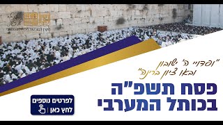 פסח 2025 - ברכת כהנים בשידור חי - ביום שלישי, י"ז בניסן תשפ"ה (15.04.2025)