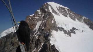 preview picture of video 'bernese oberland - september 2009'