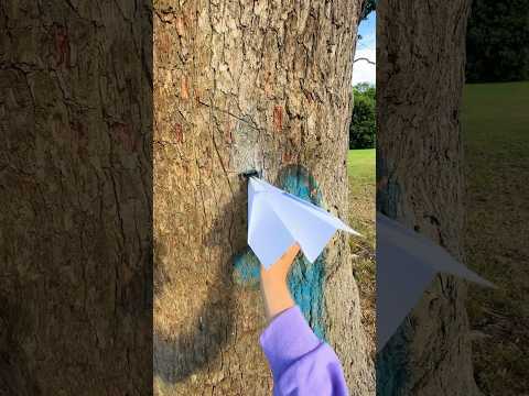 The Most Powerful Paper Aeroplane…