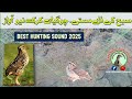 Batair Ki Awaz Subha Ke Liye Awaz Batair Batair Ki Awaz Quail Sounds