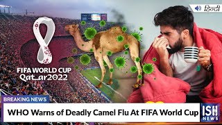 WHO Warns of Deadly Camel Flu At FIFA World Cup
