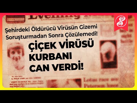 Son Çiçek Salgını Bir Lab Sızıntısı Nedeniyle Başlamış Olabilir mi?