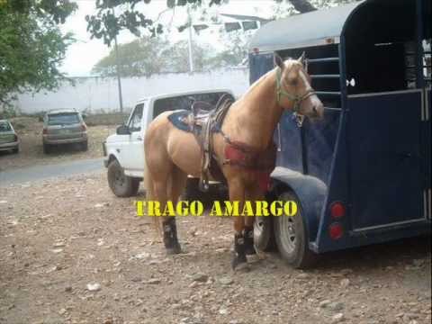 UN COLEADOR PARA MI CABALLO...Cheo Hernández Prisco.