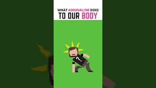 Download lagu What Does Adrenaline Do To Your Body? #shorts #education mp3 Download lagu What Does Adrenaline Do To Your Body? #shorts #education mp3