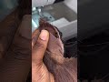 Ripped Closure Fix!