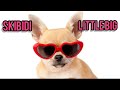 Little Big Skibidi Lyric Video