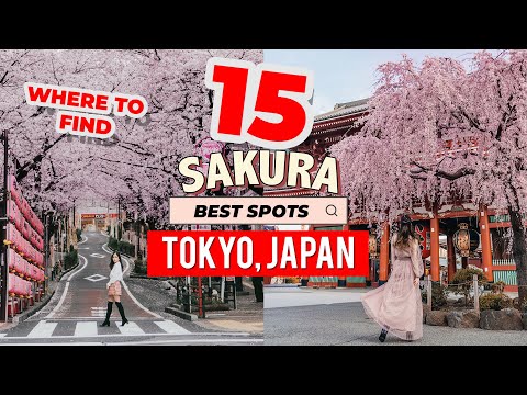 🌸 東京櫻花最佳賞花地在哪裡🇯🇵 Instagram Spots | Japan Travel Guide (🌸 WHERE THE BEST SAKURA CHERRY BLOSSOM Locations are in TOKYO🇯🇵 Instagram Spots | Japan Travel Guide)