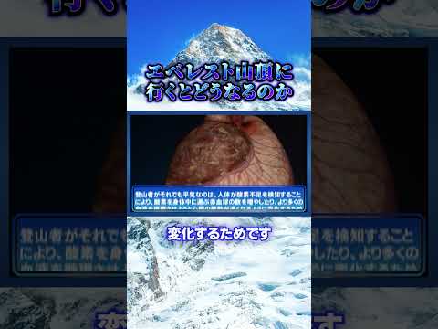 エベレスト山頂に登るとどうなるのか？